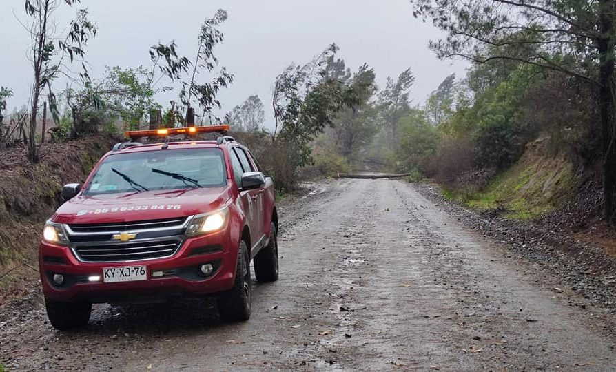 17 viviendas con daño menor y cortes de suministro eléctrico dejan a esta hora sistema frontal en Ñuble