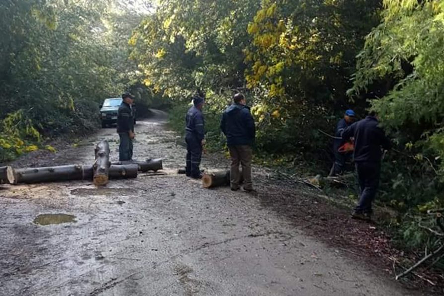 Sistema Frontal en Ñuble: Más de 51 milímetros de agua lluvia acumulada desde el inicio de la Alerta Temprana