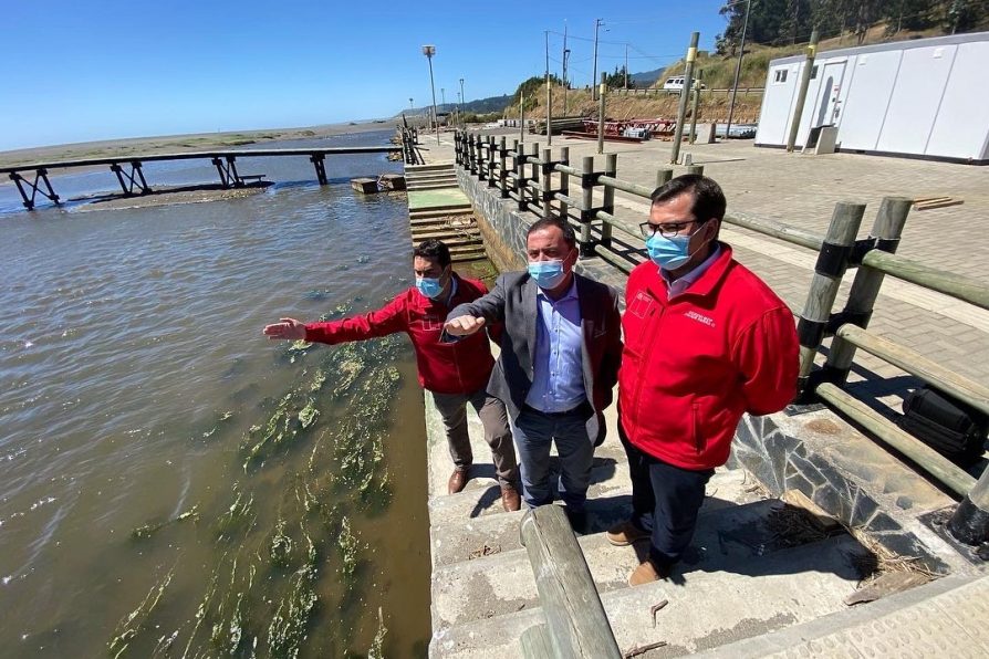 Un 52% de avance presentan obras de mejoramiento del borde costero de Buchupureo