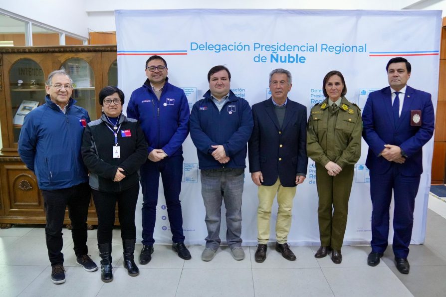 Ñuble no registró homicidios durante celebración de Fiestas Patrias