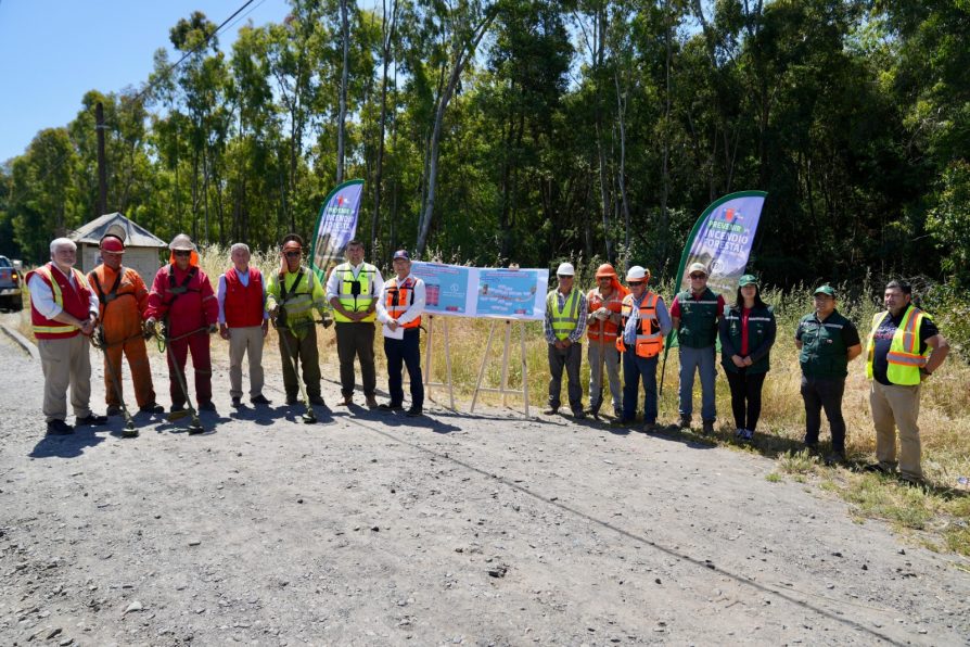 LIMPIAN 217 KILÓMETROS DE FAJAS VIALES EN 11 RUTAS CLAVES DE ÑUBLE PARA PREVENIR INCENDIOS FORESTALES