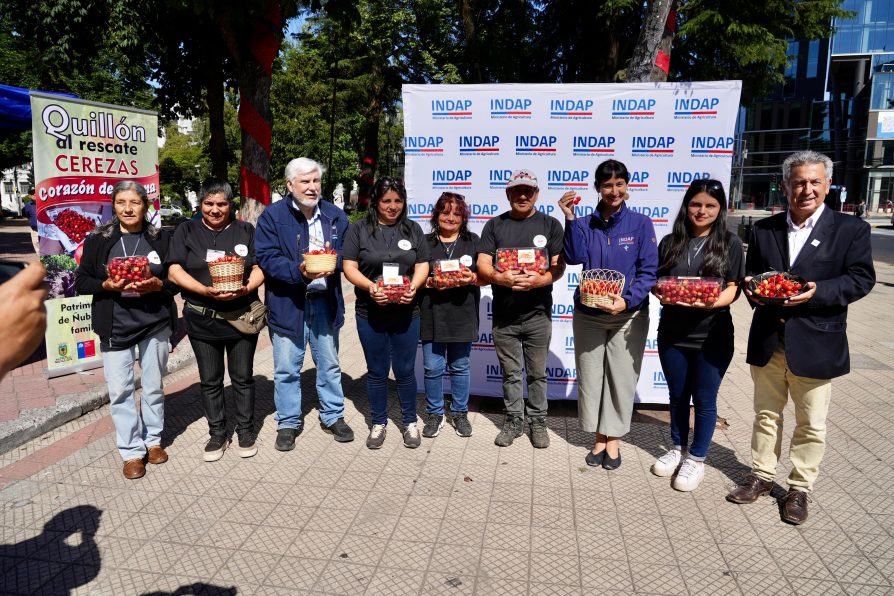 PEQUEÑOS PRODUCTORES DE ÑUBLE INVITAN A REGALAR CEREZAS ESTA NAVIDAD