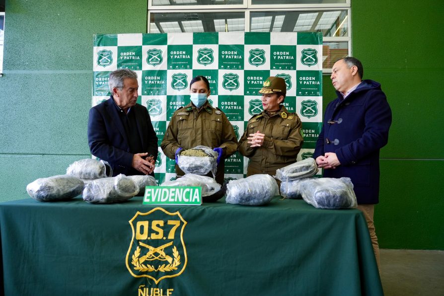 Carabineros incauta más de mil millones en marihuana en San Carlos