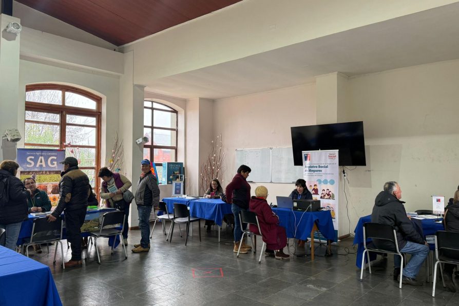 Gobierno en Terreno acercó servicios públicos a vecinos de Pinto