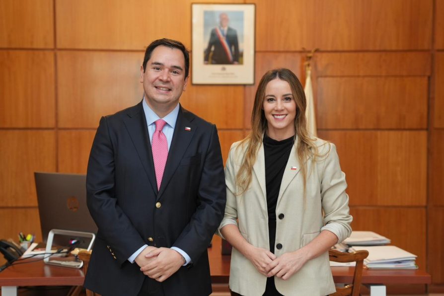 A un mes del gobierno: Ministra Mara Sedini llega a Ñuble a reforzar el despliegue en regiones