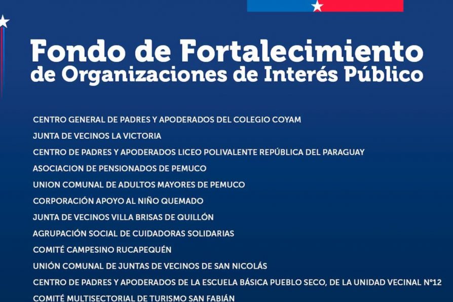 FFOIP 2026 ya tiene adjudicatarios: 28 organizaciones sociales de Ñuble ejecutarán proyectos comunitarios