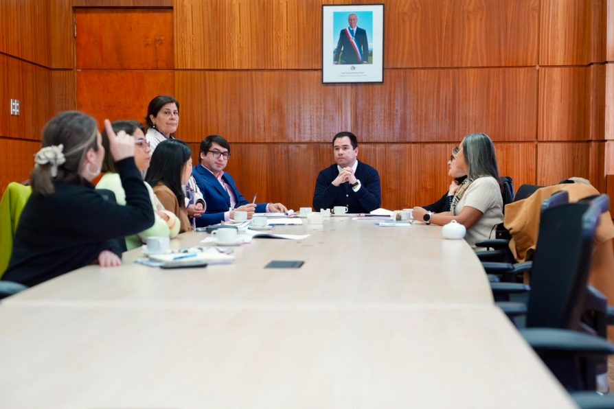 Delegado Presidencial encabeza reunión de coordinación para la implementación del nuevo Hospital Regional de Ñuble