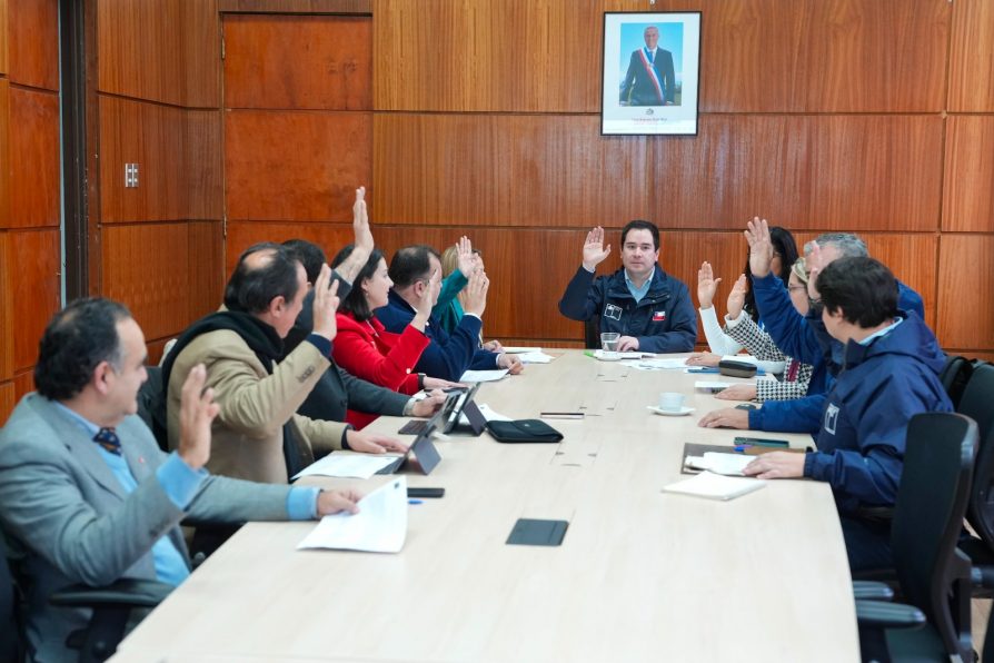 Comisión de Evaluación Ambiental aprueba por unanimidad proyecto fotovoltaico de 400 millones de dólares para Pemuco