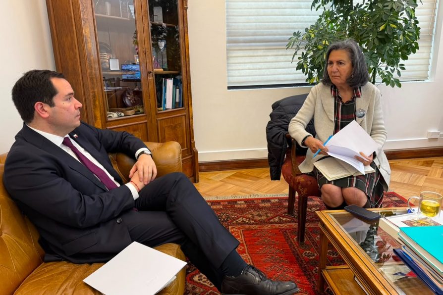 Delegado Presidencial se reúne con Ministra de Salud para abordar puesta en marcha del nuevo Hospital Regional de Ñuble