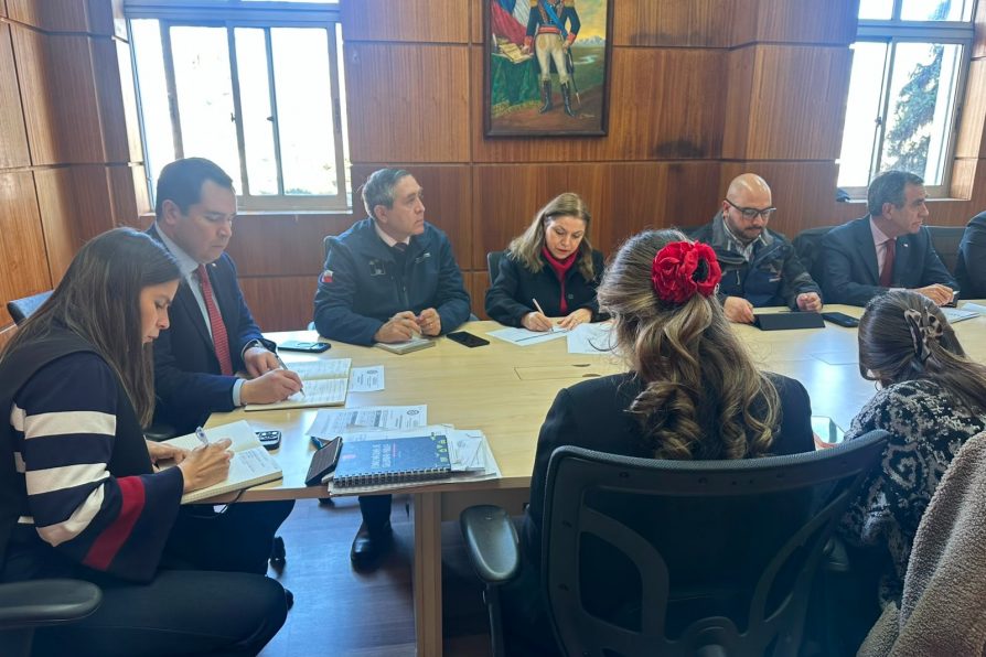 Delegación Presidencial encabeza coordinación intersectorial para garantizar seguridad en la Fiesta de la Longaniza
