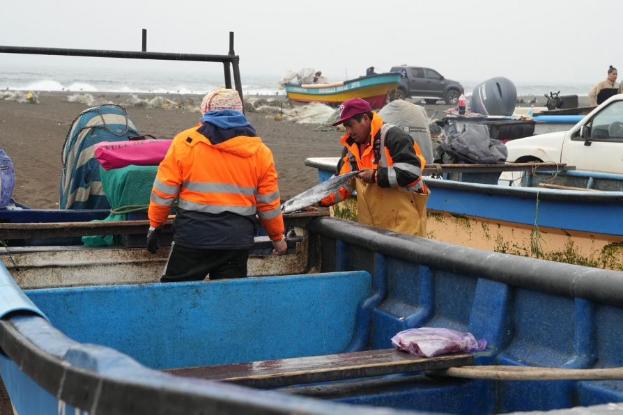 Cuarta cuota del Cupón de Pesca Artesanal beneficia a pescadores de Ñuble