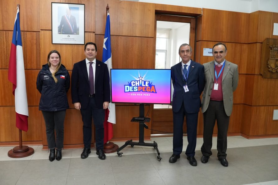 Plan Chile Despega: Ñuble proyecta nuevas inversiones y más oportunidades de empleo