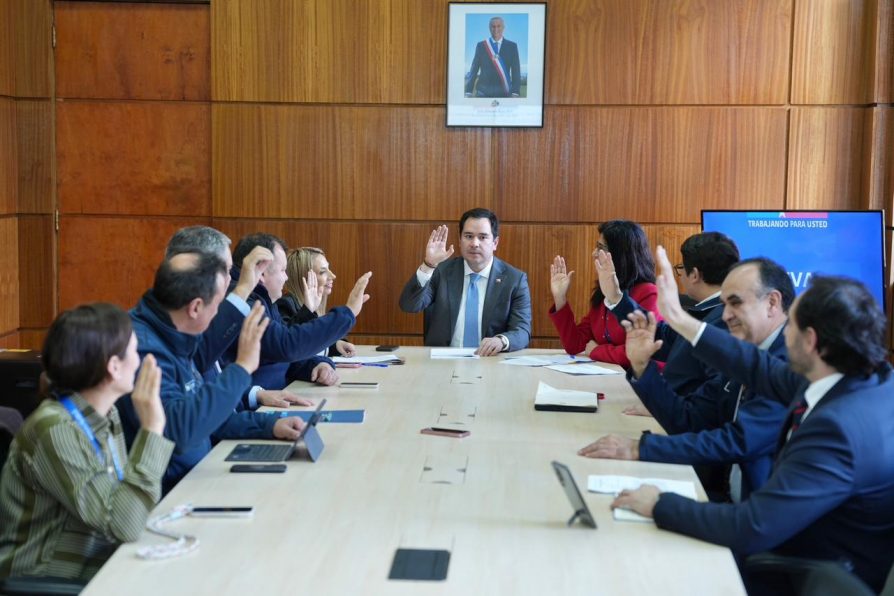 Aprobación unánime de línea Santa Elisa – Quilmo II fortalecerá la seguridad energética de Ñuble