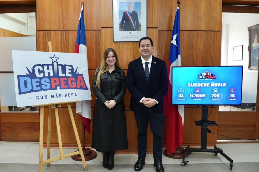 Chile Despega: Subdere destina $6.700 millones para 41 proyectos y 700 empleos en Ñuble
