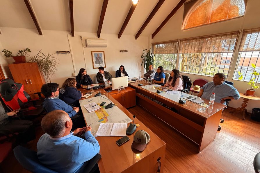Gabinete Regional de Ñuble refuerza coordinación con Alcaldes y participa en Cogrid comunales ante sistema frontal