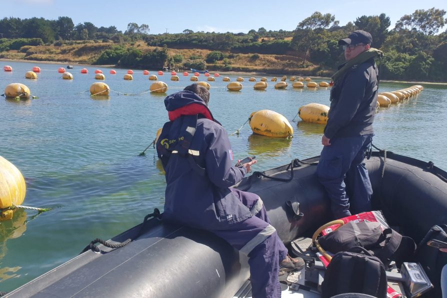 Gobierno declara emergencia preventiva por floraciones algales nocivas y refuerza preparación en Ñuble